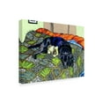 thumbnail image 2 of Trademark Fine Art 'Starsky' Canvas Art by Amy Frank, 2 of 3