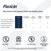 Flexcin Regular Strength - Joint Maintenance Supplement- 90 Capsules