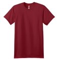thumbnail image 3 of Hanes - Nano-T® Short Sleeve T-Shirt - NIB, 3 of 4