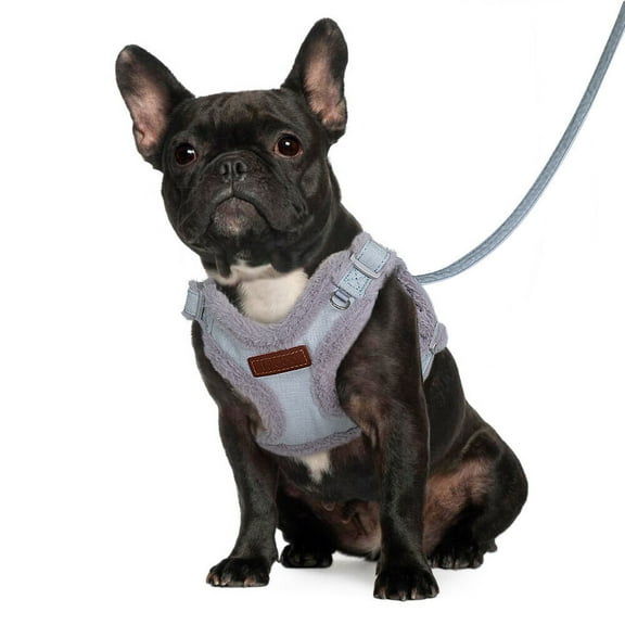 Pet Artist Pet Dog Adjustable Harness Fleece Fabric Soft Puppy Vest and Walking Leash for Chihuahua Yorkshire French Bulldog
