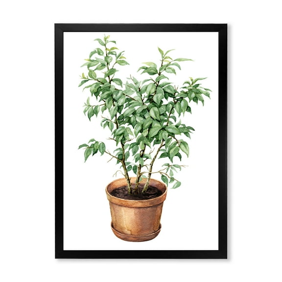 Designart 'Ficus Benjamina Plant In Clay Flowerpot' Traditional Framed Art Print