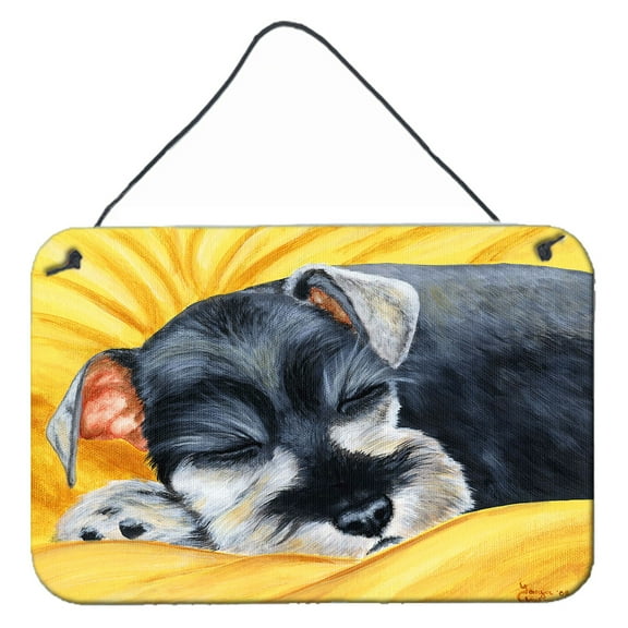 Carolines Treasures AMB1161DS812 Snoozing Schnauzer Wall or Door Hanging Prints  8x12 multicolor
