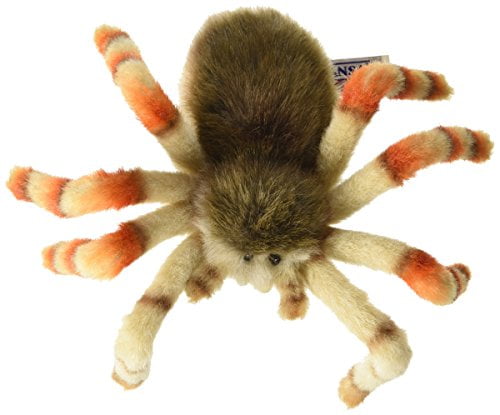spider habitat toy