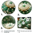 thumbnail image 3 of Designart "Jewels of the Desert Green Beige Cactus Mammillaria II" Floral Floater Framed Wall Decor, 3 of 7
