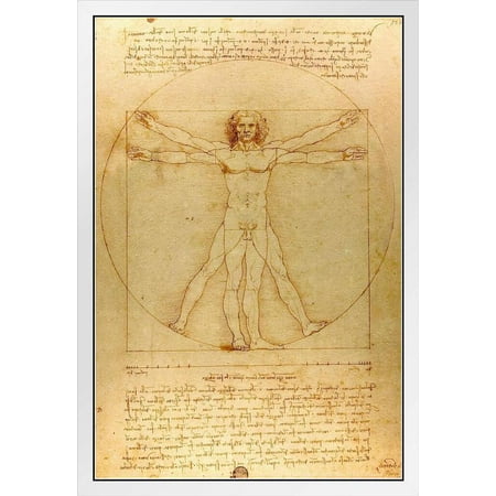 Leonardo Da Vinci Vitruvian Man Poster Drawing Circa 1490 Human Body Sketch Renaissance Italy White Wood Framed Art Poster 14x20