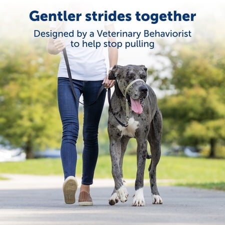 PetSafe（ペットセーフ） ジェントルリーダー 引っ張り防止 ヘッドカラー 犬用 散歩トレーニング【フォーン（ベージュ） Mサイズ】