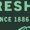 Forest Green, variant on Officially Licensed Coca Cola Delicious and Refreshing 1886 Women's T-shirt