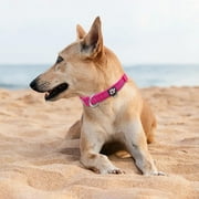 azuza Reflective Dog Collar Super Soft Neoprene Padded Dog Collars with ID Tag Ring for Small Medium Large Dogs