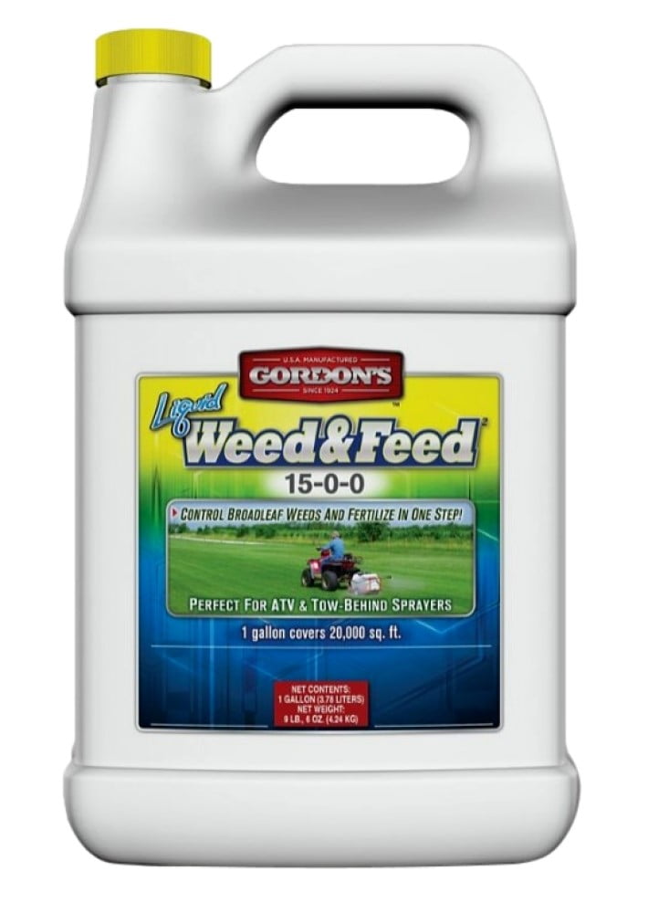 Gordon