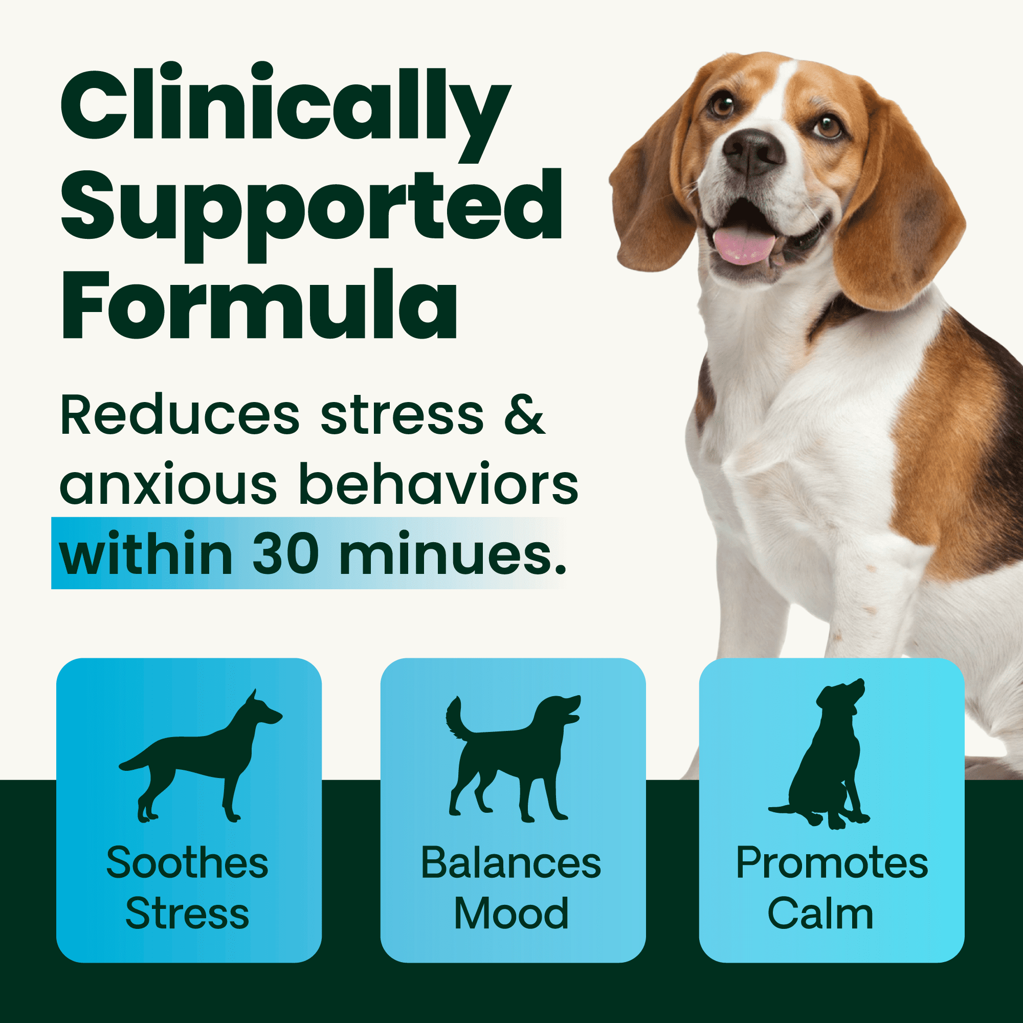VetriScience Golden Years Senior Calm & Confident Chicken Flavored Chews with Colostrum, Calming & Brain Health Supplement for Senior Dogs, 60 Count