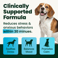 thumbnail image 3 of VetriScience Composure Calm & Confident Clinically Tested Chicken Flavored Chews, Calming & Anxiety Supplement for Dogs, 120 count, 3 of 11