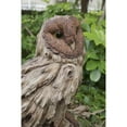 thumbnail image 2 of Hi-Line Gifts 13" Barn Owl Standing on Stump Garden Statue, 2 of 5
