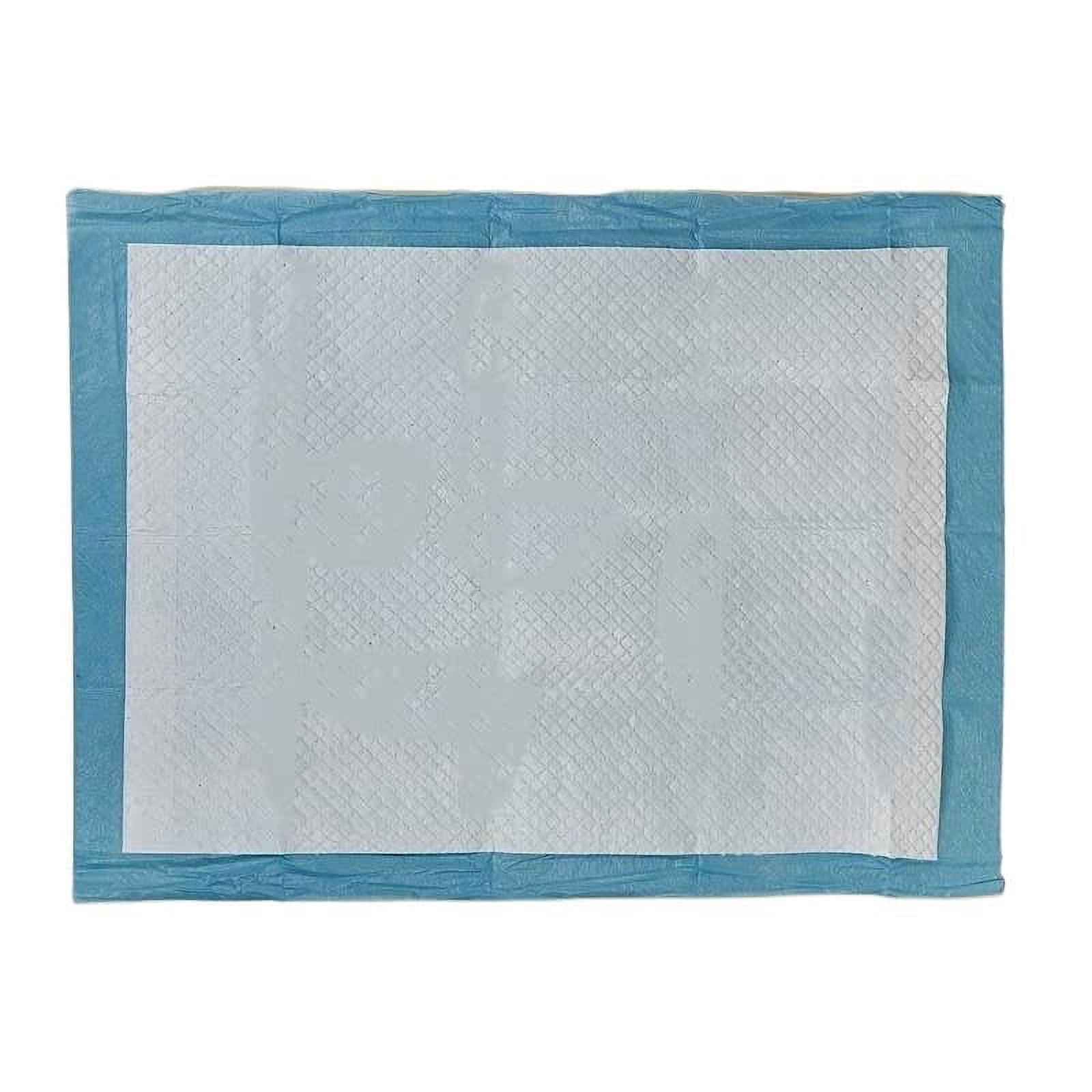 Disposable Fluff-Filled Underpads, Light Absorbency Breathable Bed Pads for Adults, Kids and Pets 23 x 24 inches (Pack of 100)