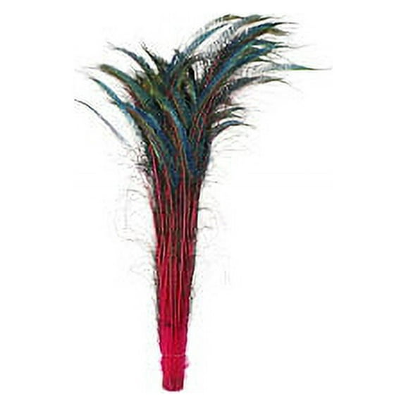 Zucker Feather Products Peacock Swords Stem Dyed - Shocking Pink