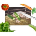 thumbnail image 2 of Caroline's Treasures BDBA0296LCB Pigs Piglets at Dinner Time Glass Cutting Board Large, 12H x 16W, multicolor, 2 of 2