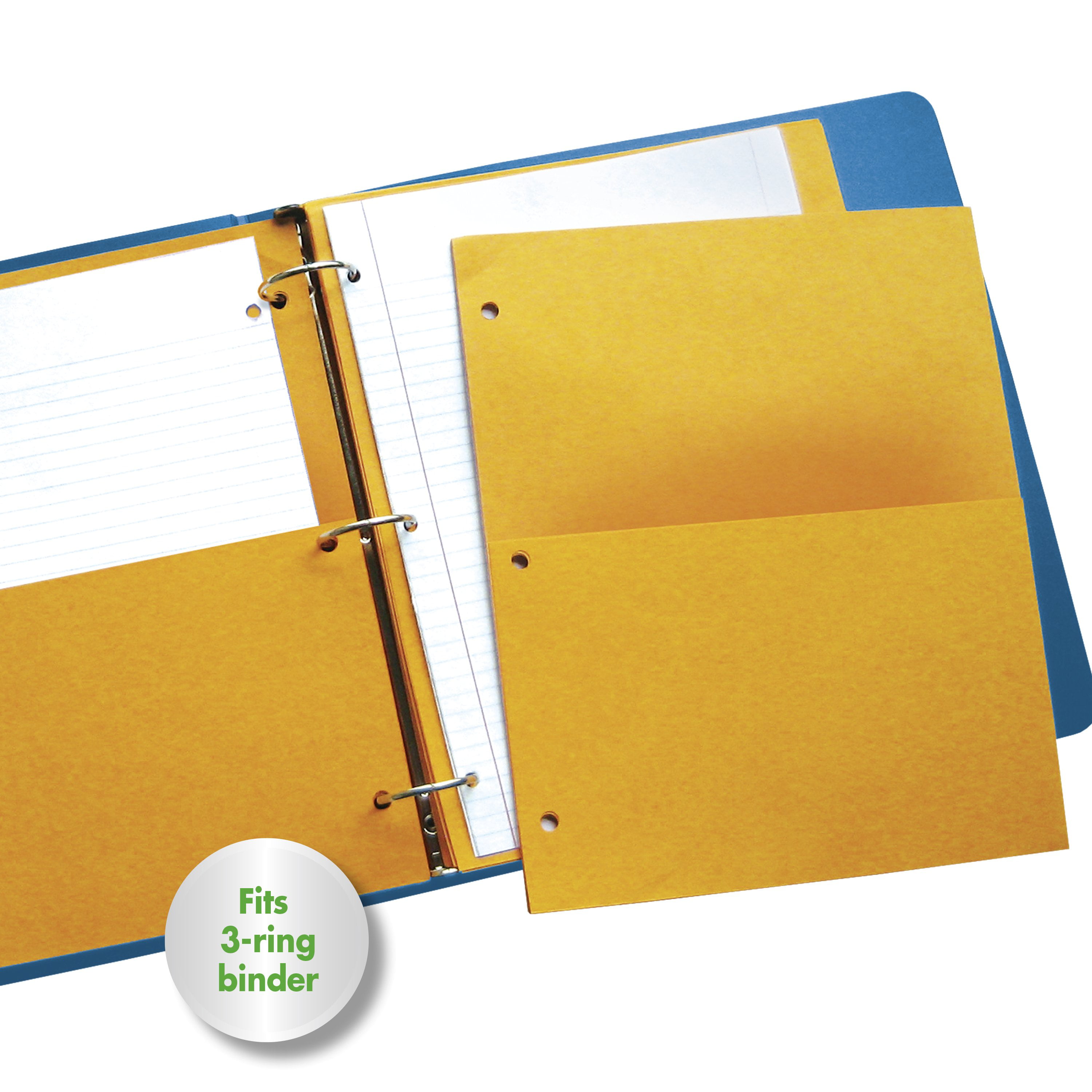 Whiteboard Ring Binders 2 & 3 Holes - Magiboards USA