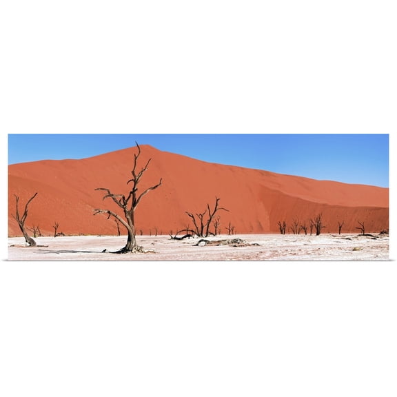 Great BIG Canvas | Rolled Carson Ganci Poster Print entitled Namib Desert, Namibia, Africa