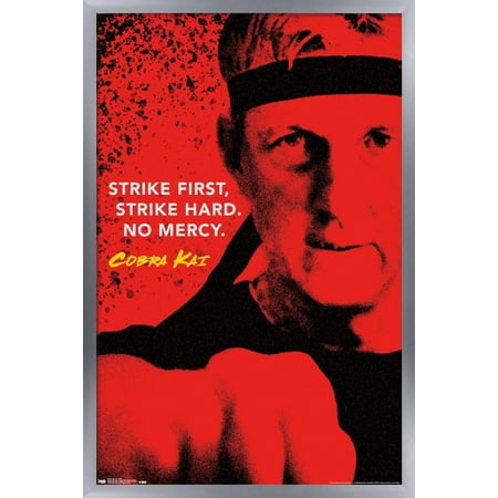Cobra Kai - Strike Wall Poster, 22.375" x 34", Framed