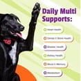 thumbnail image 3 of Pet Naturals Daily Overall Wellbeing Multivitamin Soft Chews for Dogs, Vegetable Flavor 30 Count Jar, 3 of 8
