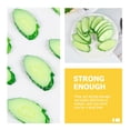 thumbnail image 4 of 10pcs cortes de pepino artificial modelos de pepino simulados exhibe accesorios de exhibición, 4 of 5