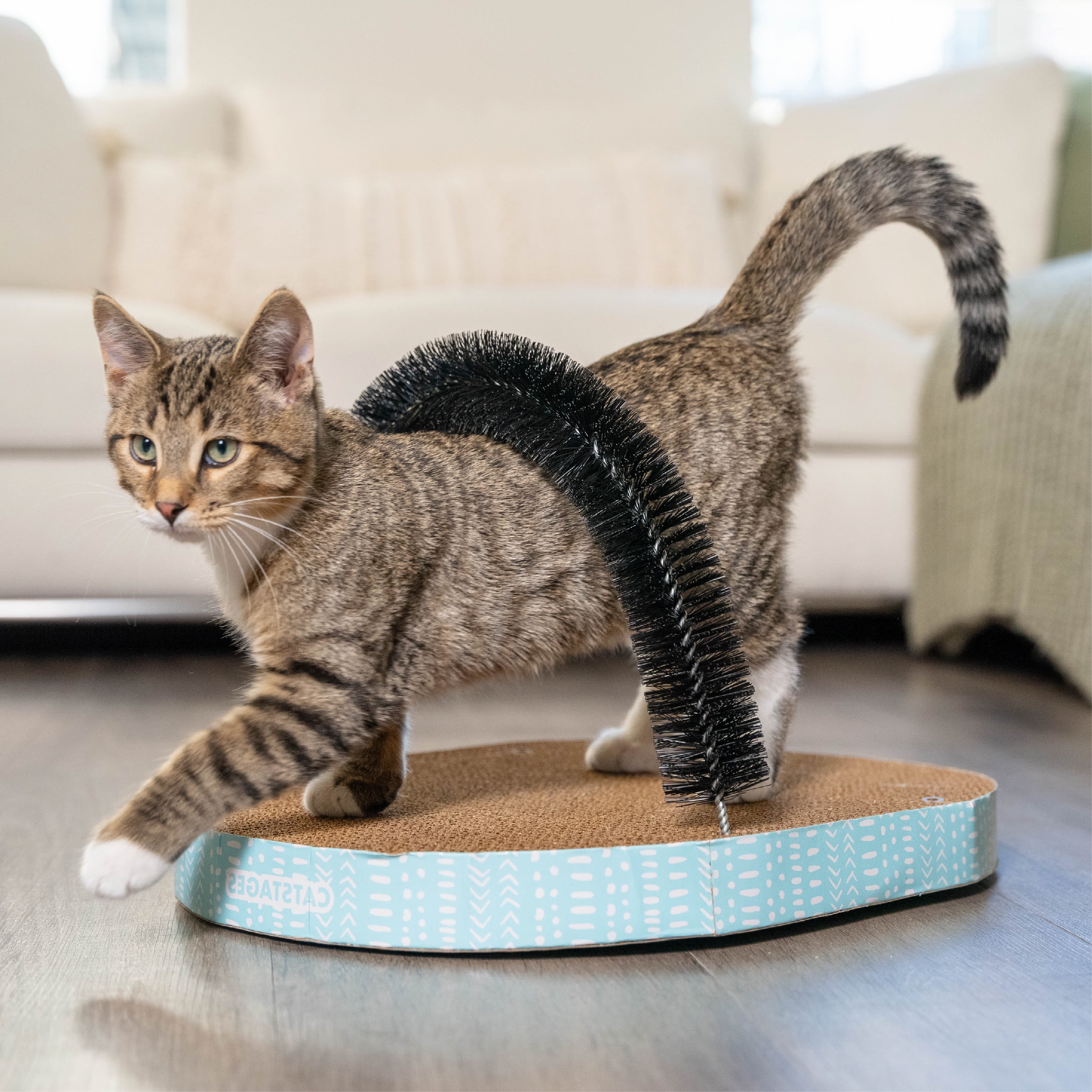 cheap scratch post for cats Back to Nature The Duo Cat Scratch Post