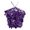 Purple, variant on Elegant Sequin Tank Top Slim Fit Sleeveless Women’s Fashion Top for and Everyday Wear Red One Size