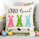 thumbnail image 1 of Funda de cojín de Pascua | Funda de cojín decorativa de lino blanco de 45 x 45 cm con diseño de conejo y huevo para sofá cama y decoración de temporada, 1 of 6