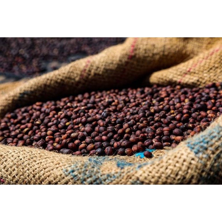 Armenian Coffee | Organic | Extra Fine Ground | Fresh Roasted (Medium 1-Pack, 12oz)