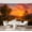 Color 2, variant on Wall Mural Peel and Stick Vivid Tropical Rainforest Scene Birds Leopard Waterfall Self-Adhesive Wallpaper Removable Wall Decal Wall Sticker Home Decor for Living Room Bedroom 69"x96"
