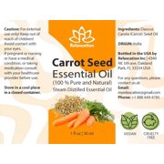 Carrot Seed Essential Oil (Daucus Carota) – Pure Steam Distilled Aromatherapy Oil by Relaxcation