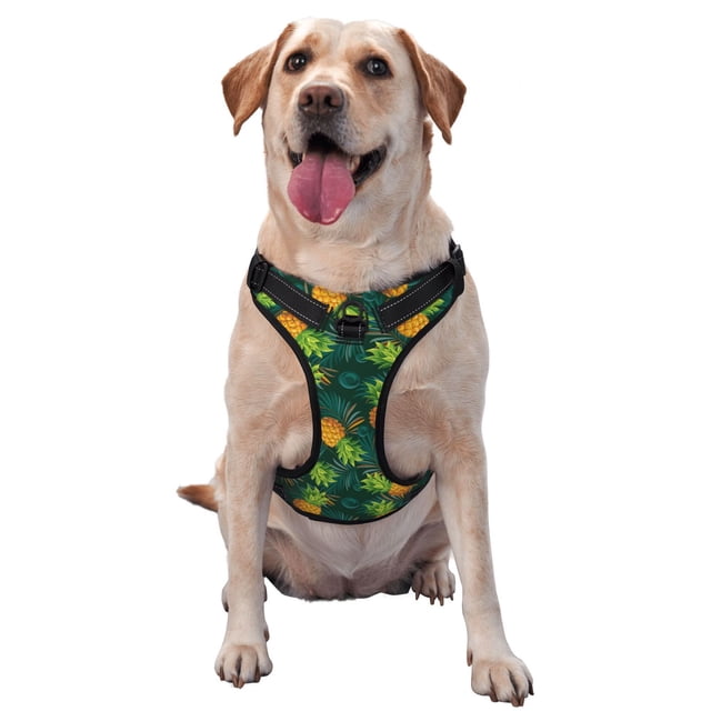 Balery Pineapples with Palm Leaves Arnés para Perros Grandes Antitirones, Arnés con Correa para Gato, Arnés Tipo Chaleco para Perros Pequeños-X-Large