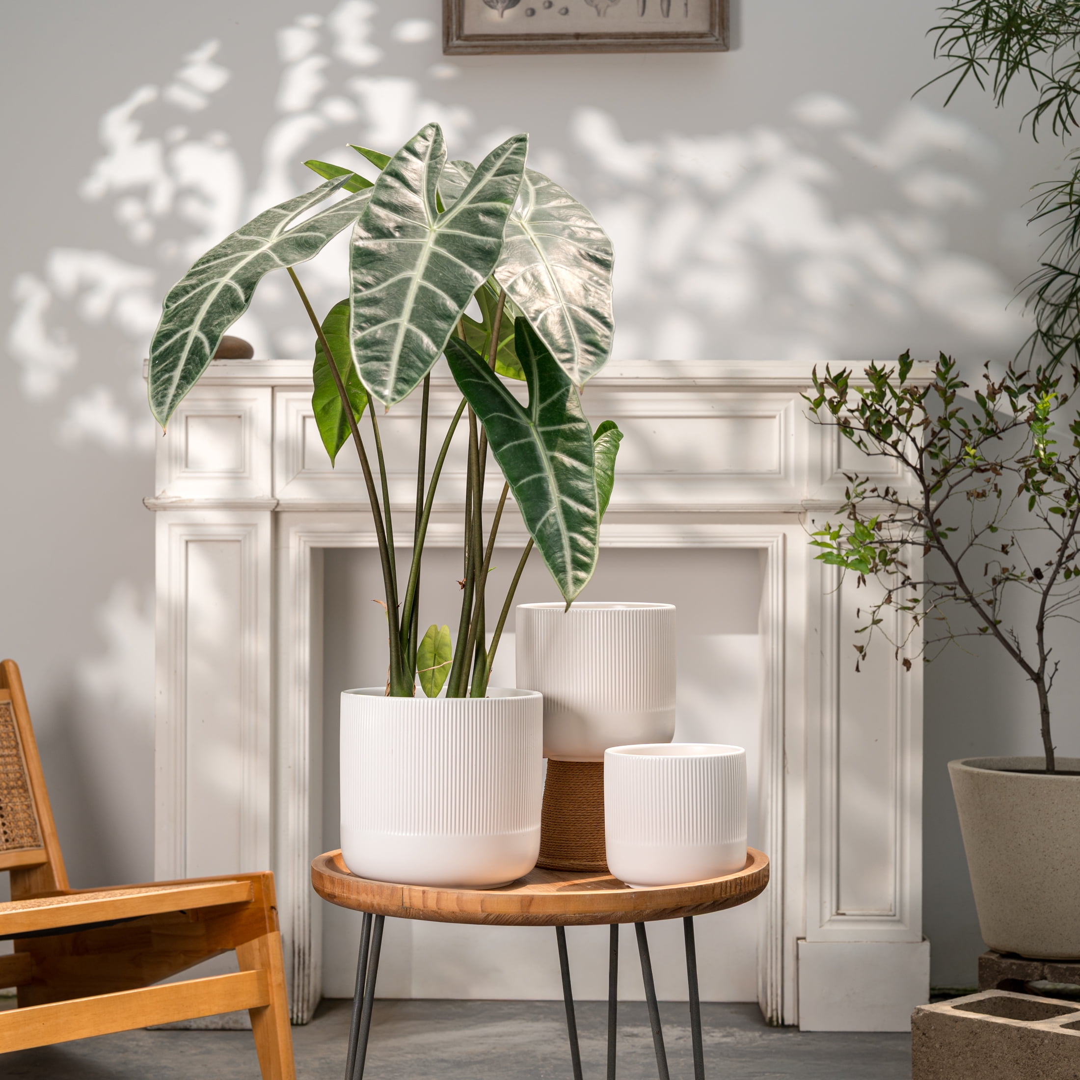UMIAMOY Cylinder Ceramic Plant Pots,5.8+6.9+8.3 inch Plant Pots with Drainage Holes and Saucer,Set of 3 Ceramic Flower Pots for Indoor Outdoor Decoration,White