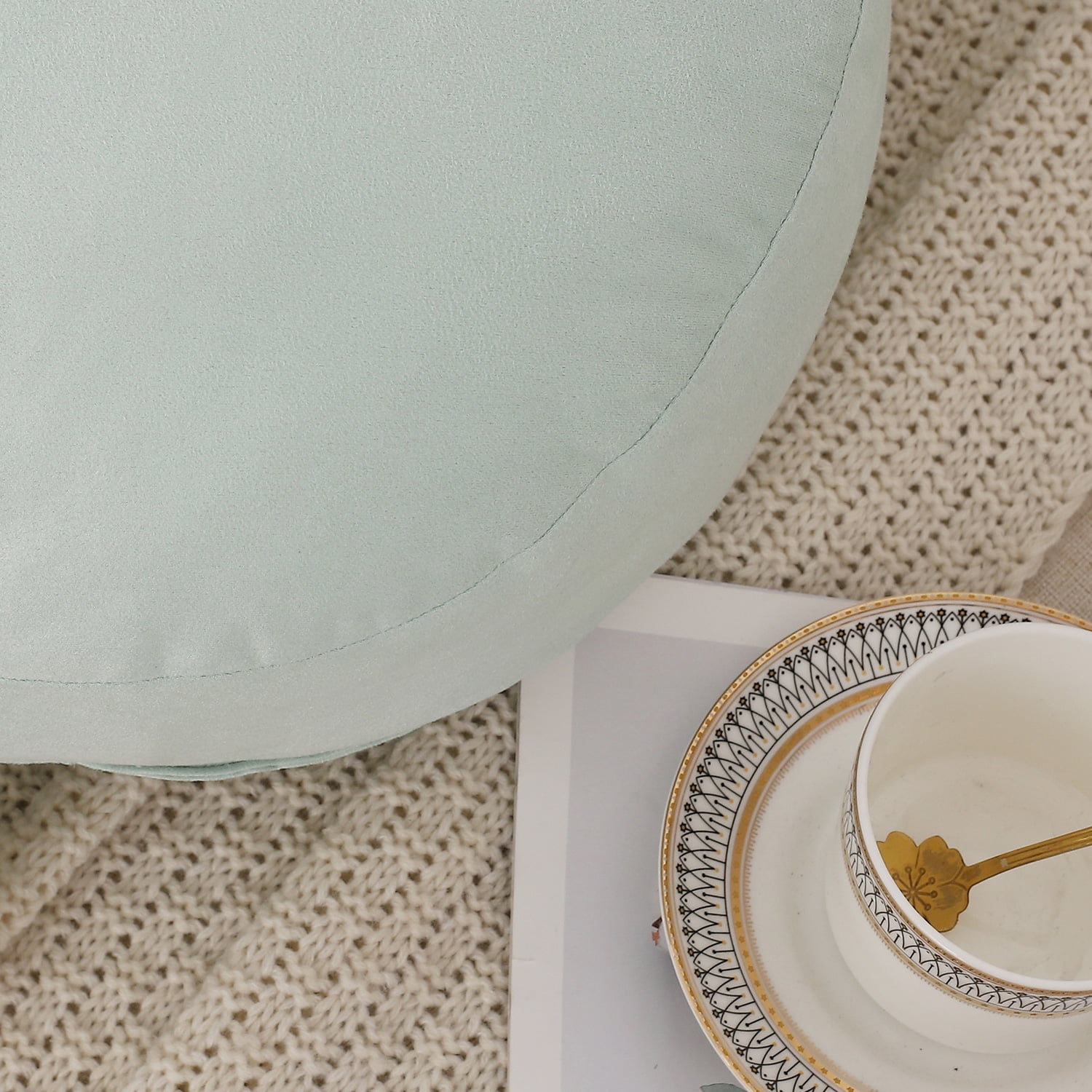 Set of 2 Super Soft Cute Aqua Decorative Throw Pillows