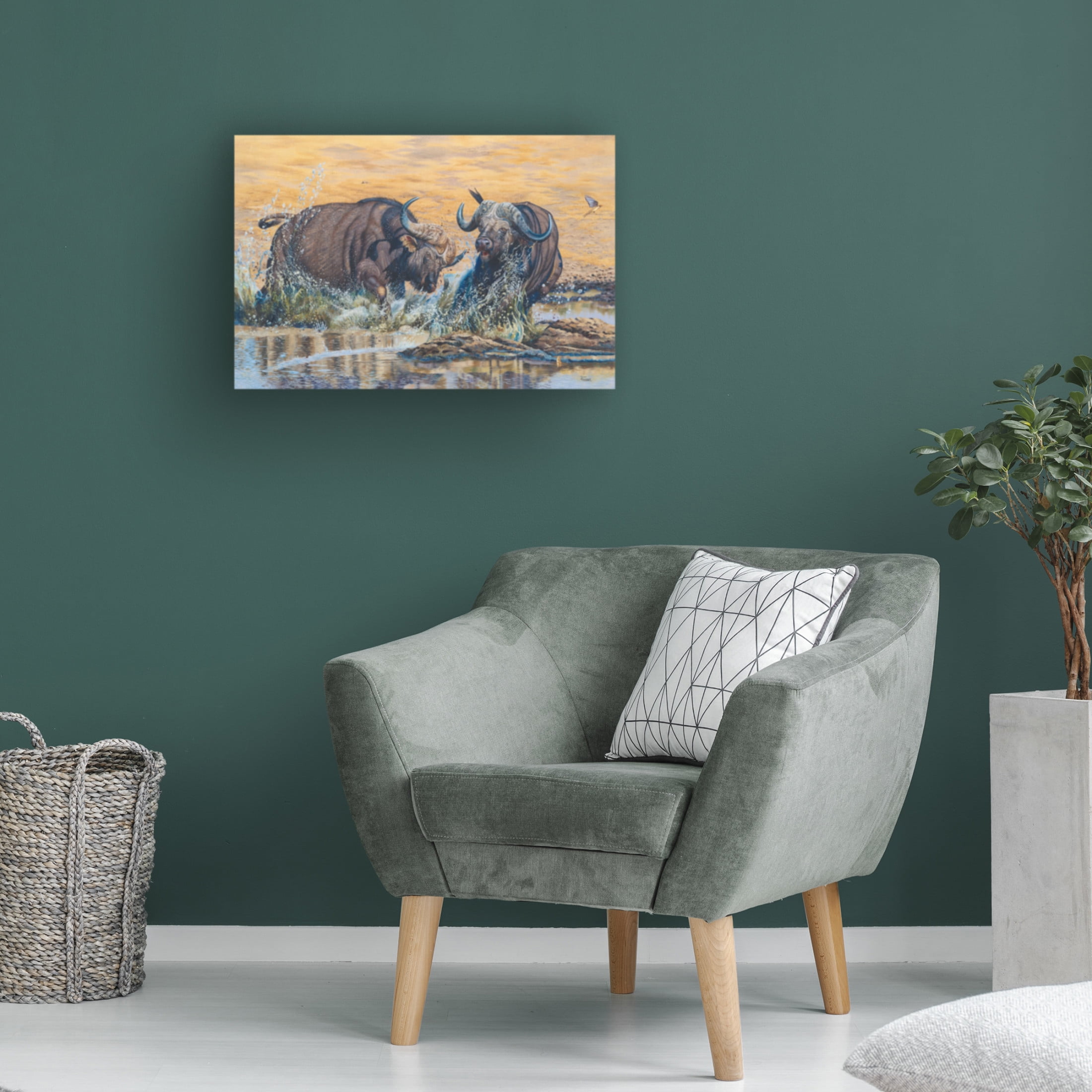 Canvas Wall Art - Delene Lambert 'Buffelsfontein' Wall Art for Living Room, Bedroom, or Office Décor by Trademark Fine Art - 47 x 30 Inches