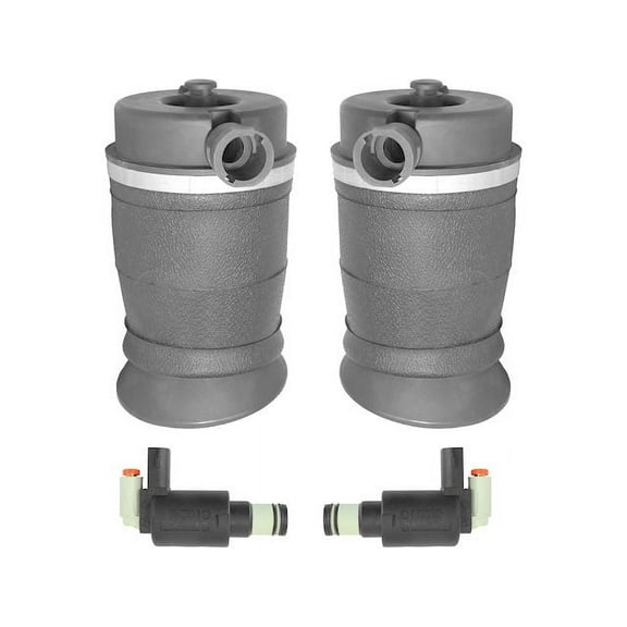 Rear Air Suspension Spring Set - Compatible with 1997 - 2002 Ford Expedition 1998 1999 2000 2001