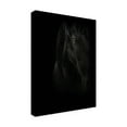 thumbnail image 2 of Trademark Fine Art 'Black Pearl' Canvas Art by PhotoINC Studio, 2 of 3