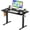 Black, variant on HarmonyStrings Electric Standing Desk Home Office Height Adjustable Computer Ergonomic Table