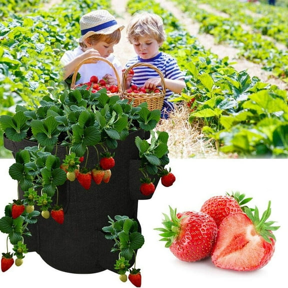 5 Gallon Grow Bags, Thickened Non-Woven Fabric Plants Bags, Gardening with Grow Bags for Vegetables , Side Pocket