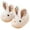 White, variant on Mepaouo Toddler Plush Slippers Girl Boy Kids Rabbit Winter Bunny Indoor Close Back House Shoes(Grey,24)