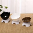 thumbnail image 7 of Transparent Single Bowl Base Pet Cat Bowl Protect Cervical Vertebra Feeding Water Dispenser Transparent Plastic Food Bowl High-Foot Bowl Dog Bowl Single Bowl, 7 of 7