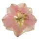 thumbnail image 1 of DIY Colgante Pendiente de Resina de con Agujero Joyería de Fabricación perfecl Colgante de la flor, 1 of 8