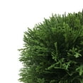 thumbnail image 3 of Vickerman Artificial 24" Green Cedar Hedge., 3 of 4