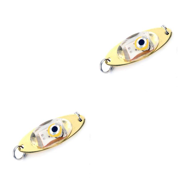 Wosthever Luz de pesca portátil LED peces submarinos Mini señuelo lámpara cebo de pesca luz suministros al aire libre Type1 NO1 Wosthever CBP097148
