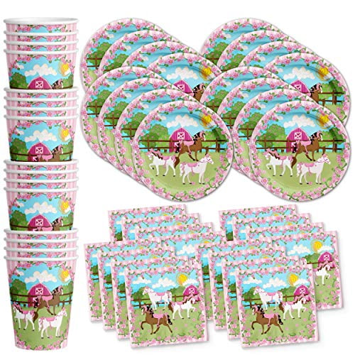 Girl Rockstar Pink Birthday Party Supplies Set Plates Napkins Cups Tableware Kit for 16
