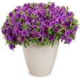 thumbnail image 5 of Proven Winners 4" Superbells Double Blue Calibrachoa Live Plant in 4.25" Pot (4 Count), 5 of 6