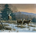 thumbnail image 2 of Goebel, Wilhelm 18x15 Gold Ornate Wood Framed with Double Matting Museum Art Print Titled - Prime Time - Whitetail Deer, 2 of 4