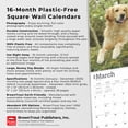 thumbnail image 6 of Golden Retrievers 2025 12 X 24 Inch Monthly Square Wall Calendar Foil Stamped Cover Plastic-Free (Wall), 6 of 9