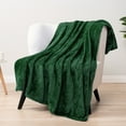 thumbnail image 3 of PAVILIA Emerald Green Throw Blanket for Couch, Twin Bed, Soft Fleece Throws for Sofa Chair, Fuzzy Waffle Textured Blanket, Cozy Warm Lightweight All Season Blanket Throw, 60x80, 3 of 9