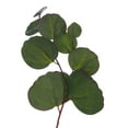 thumbnail image 4 of Vickerman 24" Artificial Green Silver Dollar Populus Eucalyptus Wreath, 4 of 5