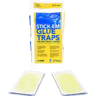 Trapper Max Trapper Max Glue Traps 12 Glue Boards Trap Mouse Bugs Insects Bed Bugs ...